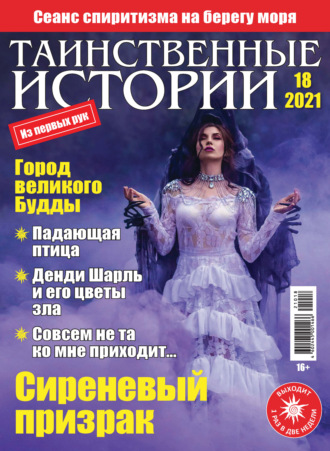 Таинственные истории №18/2021. Группа авторов