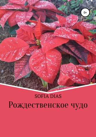 Sofia Dias. Рождественское Чудо