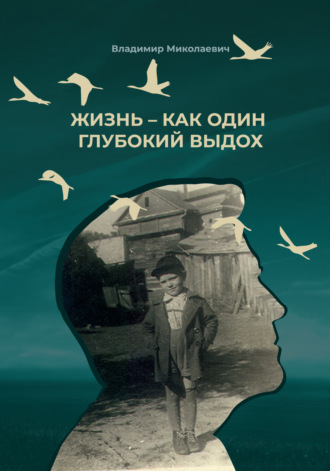 Жизнь – как один глубокий выдох. Владимир Миколаевич