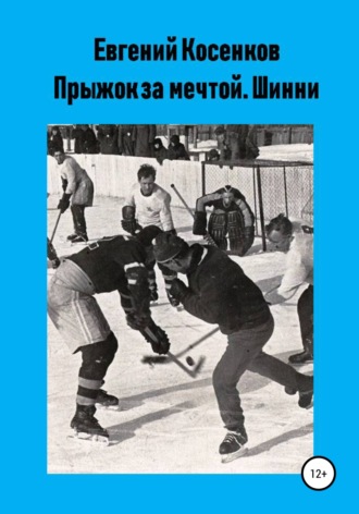 Прыжок за мечтой. Шинни. 