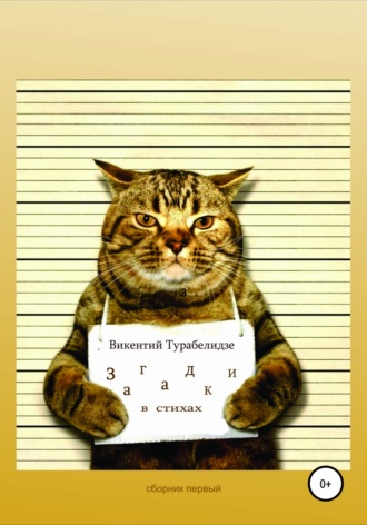 Загадки в стихах. Сборник первый. Викентий Турабелидзе