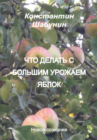 Константин Шабунин. Что делать с большим урожаем яблок?