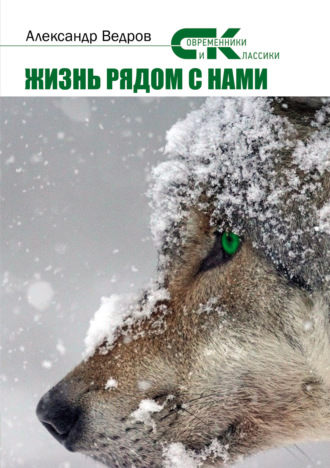 Жизнь рядом с нами. Александр Ведров