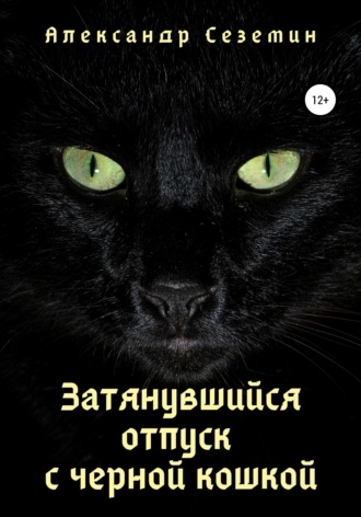 Александр Сеземин. Затянувшийся отпуск с черной кошкой