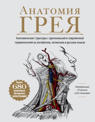 Группа авторов. Анатомия Грея. Анатомические структуры с оригинальной и современной терминологией на английском, латинском и русском языках