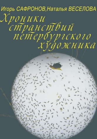 Хроники странствий петербургского художника. Наталья Александровна Веселова