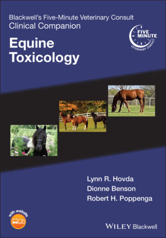 Группа авторов. Blackwell's Five-Minute Veterinary Consult Clinical Companion