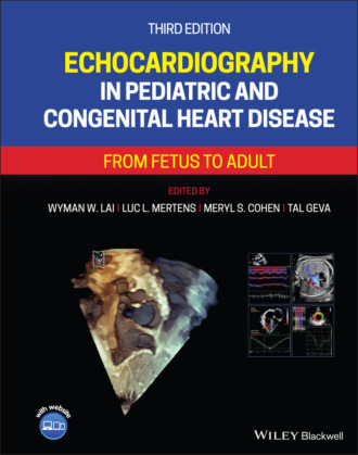 Группа авторов. Echocardiography in Pediatric and Congenital Heart Disease