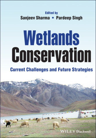 Группа авторов. Wetlands Conservation