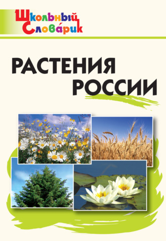 Группа авторов. Растения России. Начальная школа