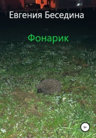 Фонарик. Евгения Беседина