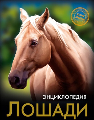 Леся Калугина. Лошади