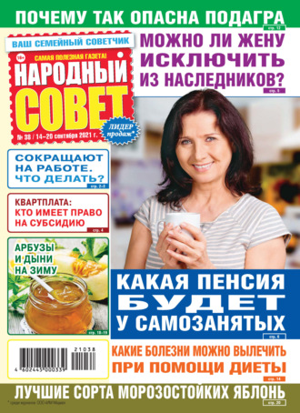 Народный совет №38/2021. Группа авторов