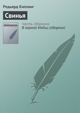 Свинья. 