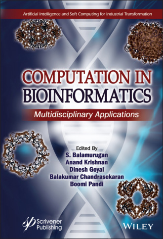 Группа авторов. Computation in BioInformatics
