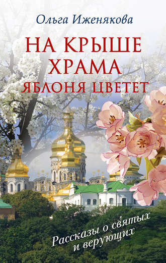 Ольга Иженякова. На крыше храма яблоня цветет (сборник)
