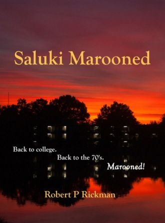 Saluki Marooned. Robert Rickman