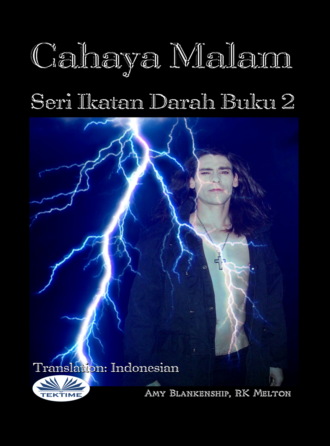 Amy Blankenship. Cahaya Malam (Ikatan Darah Buku 2)