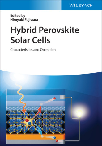 Группа авторов. Hybrid Perovskite Solar Cells