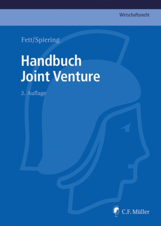 Torsten Fett. Handbuch Joint Venture