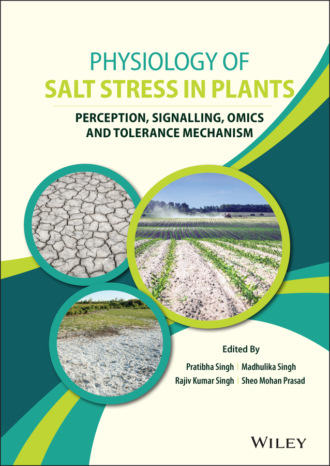 Группа авторов. Physiology of Salt Stress in Plants