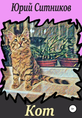 Кот. 