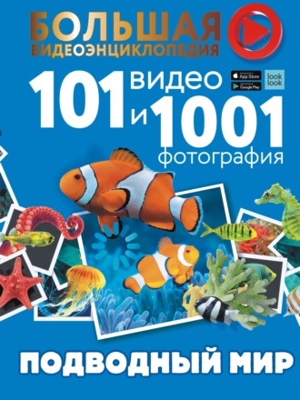 Е. О. Хомич. Подводный мир. 101 видео и 1001 фотография