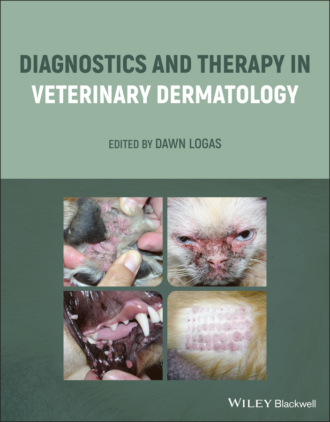 Группа авторов. Diagnostics and Therapy in Veterinary Dermatology