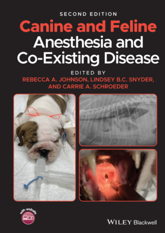 Группа авторов. Canine and Feline Anesthesia and Co-Existing Disease