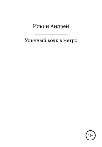 Андрей Владимирович Ильин. Уличный волк в метро