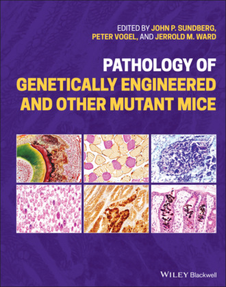 Группа авторов. Pathology of Genetically Engineered and Other Mutant Mice