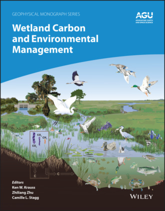 Группа авторов. Wetland Carbon and Environmental Management