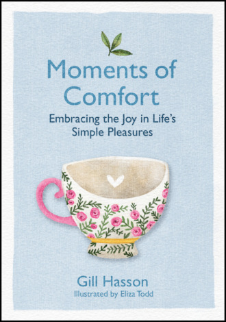 Gill Hasson. Moments of Comfort