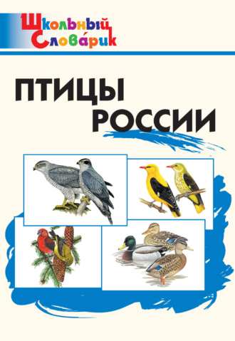 Группа авторов. Птицы России. Начальная школа