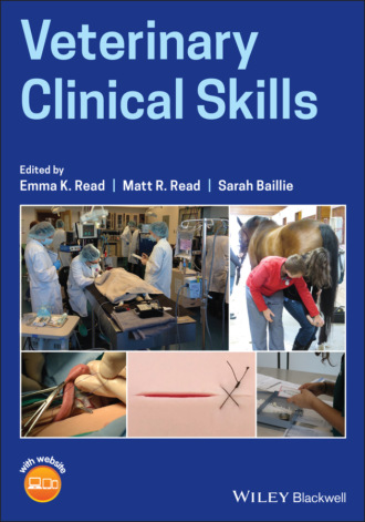 Группа авторов. Veterinary Clinical Skills