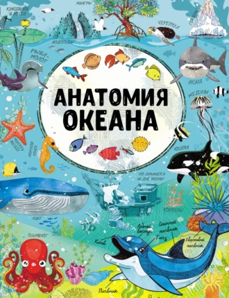 Анатомия океана. 
