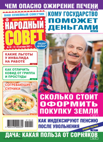 Народный совет №42/2021. Группа авторов