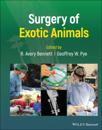 Группа авторов. Surgery of Exotic Animals