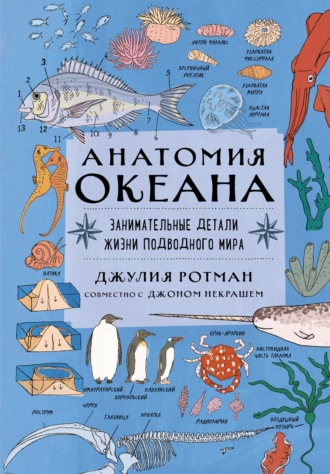Джулия Ротман. Анатомия океана. Занимательные детали жизни подводного мира