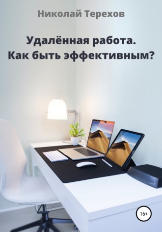 Николай Николаевич Терехов. Удалённая работа. Как быть эффективным?
