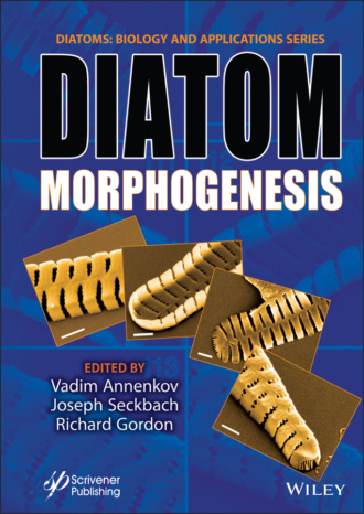 Группа авторов. Diatom Morphogenesis