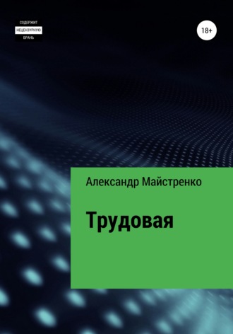 Трудовая. Александр Анатольевич Майстренко