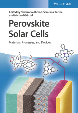 Группа авторов. Perovskite Solar Cells