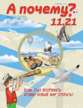 Группа авторов. А почему? №11/2021