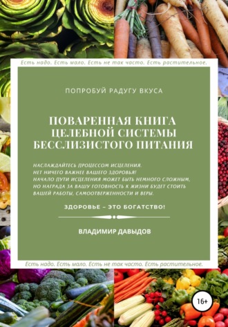 Владимир Давыдов. Поваренная книга целебной системы бесслизистого питания