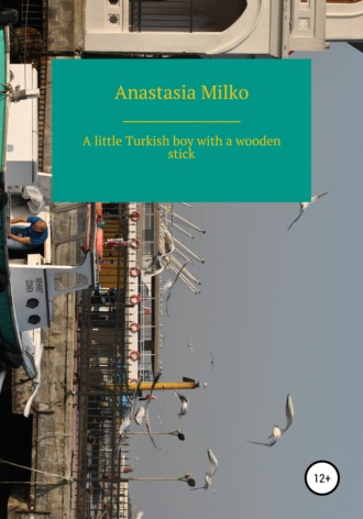 Anastasia Milko. A little Turkish boy with a wooden stick