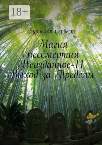 Магия бессмертия. Неизданное-11. Выход за пределы. Бурислав Сервест
