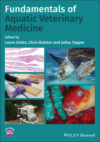 Группа авторов. Fundamentals of Aquatic Veterinary Medicine