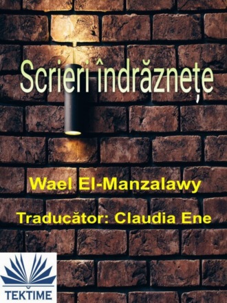 Wael El-Manzalawy. Scrieri Îndrăznețe