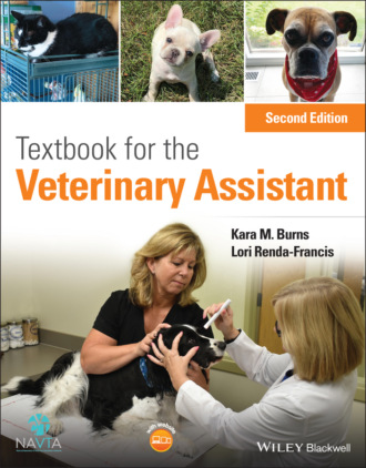 Textbook for the Veterinary Assistant. 